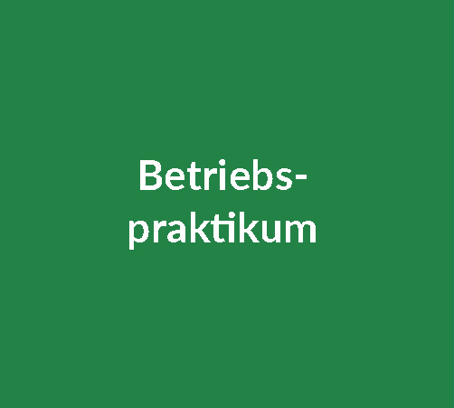 Ankündigung für ein Betriebspraktikum bei GIWA